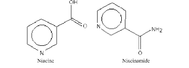 Niacin Ip / Niacinamide Ip